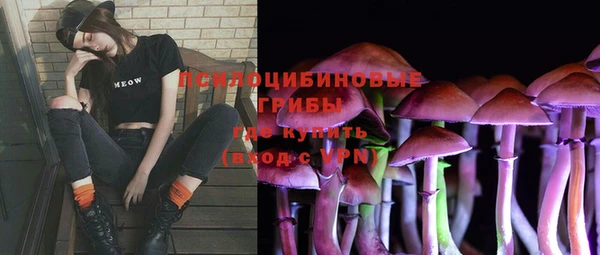 бошки Богданович