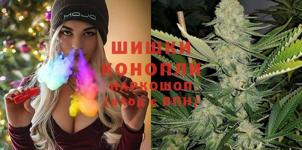 бошки Богданович