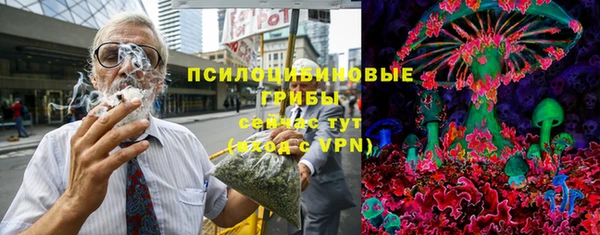мескалин Богородицк