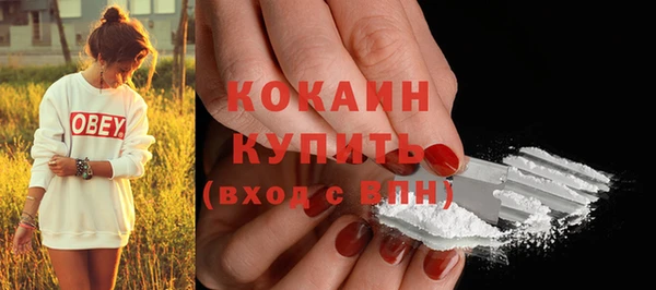 мескалин Богородицк